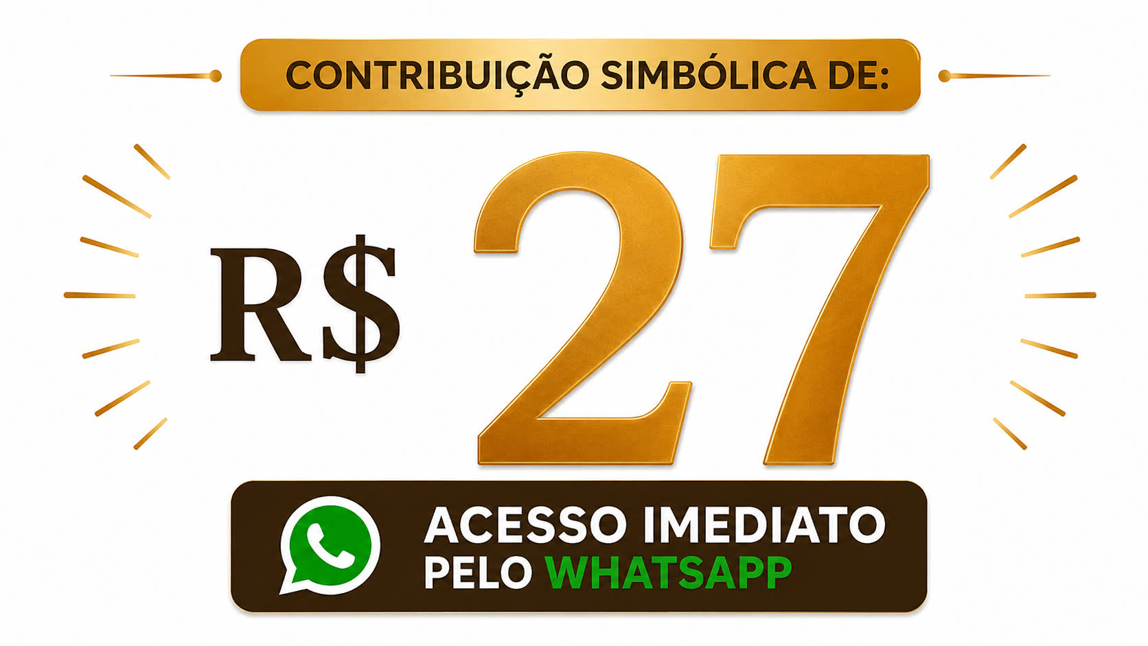 Contribuição simbólica de R$27 - Acesso imediato pelo WhatsApp